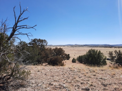 360 Views - image 12