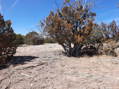 360 Views - image 6
