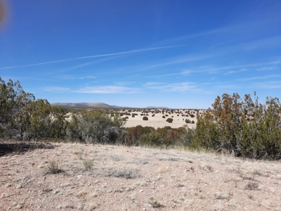360 Views - image 15