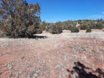 Beautiful Property - image 11