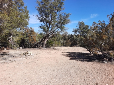 Beautiful Property - image 6