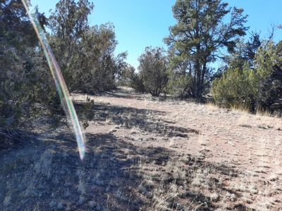 Beautiful Property - image 10