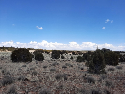 Very Secluded - image 4