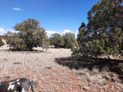 Very Secluded - image 10