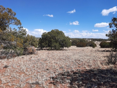 Very Secluded - image 11