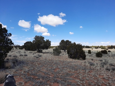 Very Secluded - image 5