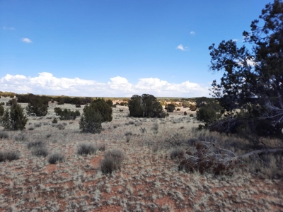 Very Secluded - image 6