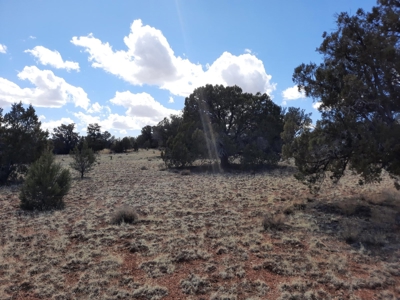 Very Secluded - image 7