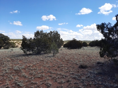 Very Secluded - image 1