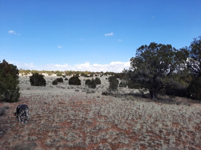 Very Secluded - image 8