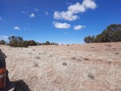 Very Secluded - image 3