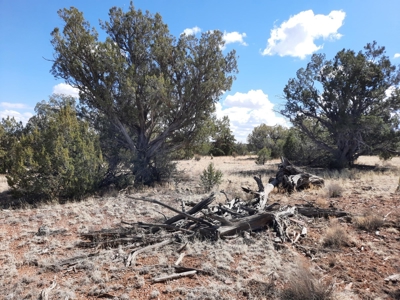 Very Secluded - image 12
