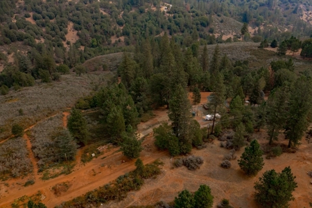 El Dorado County Home on Acreage- SOLD - image 2