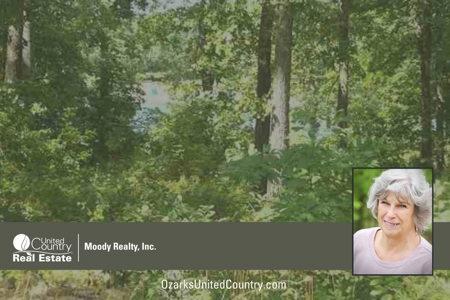 Lake Lot For Sale in Horseshoe Bend, AR - image 4
