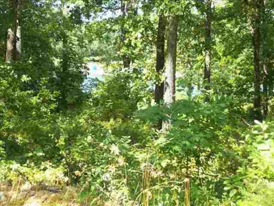 Lake Lot For Sale in Horseshoe Bend, AR - image 1