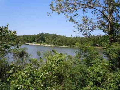 Lake Lot For Sale in Horseshoe Bend, AR - image 3