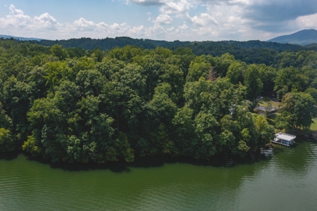 Building Lot for Sale on Claytor Lake in Pulaski VA! - image 2