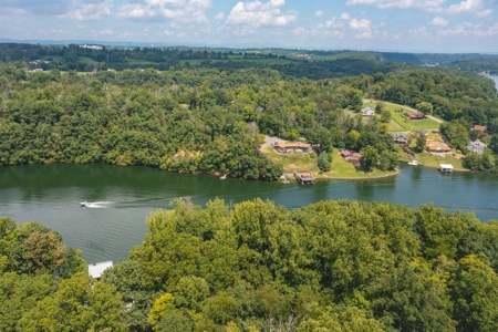 Building Lot for Sale on Claytor Lake in Pulaski VA! - image 5