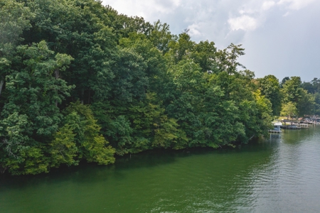 Building Lot for Sale on Claytor Lake in Pulaski VA! - image 3