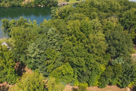 Building Lot for Sale on Claytor Lake in Pulaski VA! - image 6