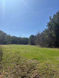 Timberland Tract in South Arkansas - image 19