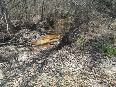 Timberland Tract in South Arkansas - image 26