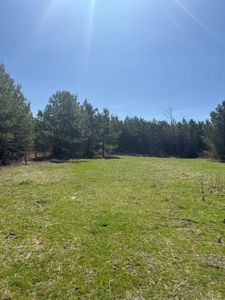 Timberland Tract in South Arkansas - image 22