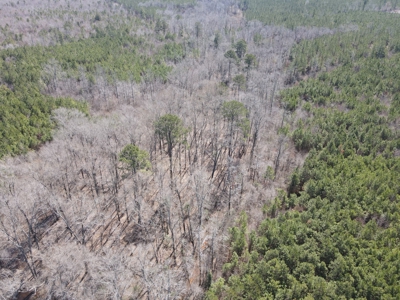 Timberland Tract in South Arkansas - image 39