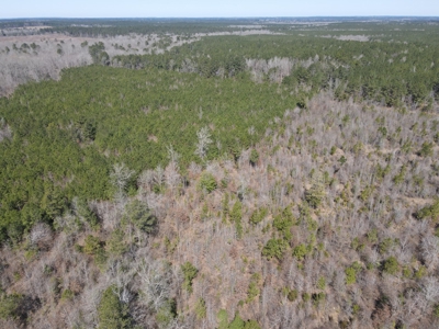 Timberland Tract in South Arkansas - image 34