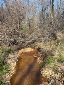 Timberland Tract in South Arkansas - image 12