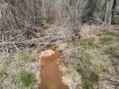 Timberland Tract in South Arkansas - image 27