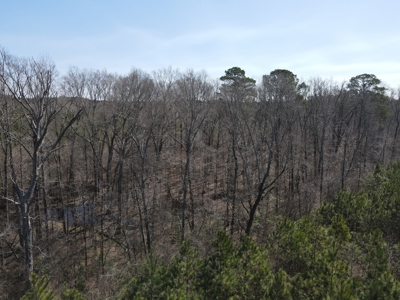 Timberland Tract in South Arkansas - image 43