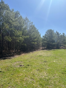 Timberland Tract in South Arkansas - image 21