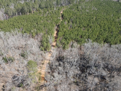 Timberland Tract in South Arkansas - image 41