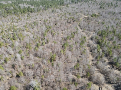 Timberland Tract in South Arkansas - image 37