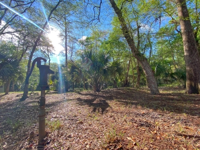 Suwannee River Oasis! - image 12
