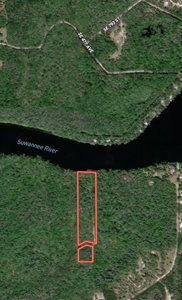 Suwannee River Oasis! - image 22