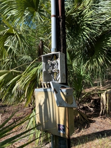 Suwannee River Oasis! - image 13