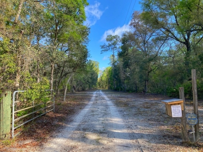 Suwannee River Oasis! - image 21