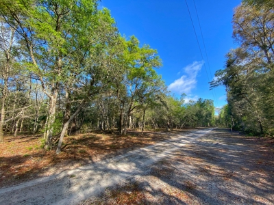 Suwannee River Oasis! - image 20