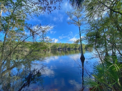 Suwannee River Oasis! - image 1