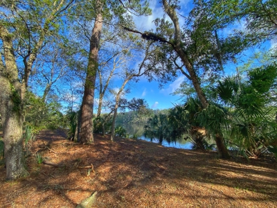 Suwannee River Oasis! - image 8