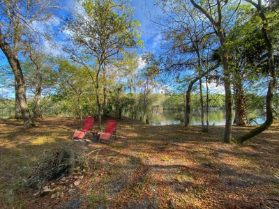 Suwannee River Oasis! - image 4