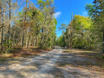 Suwannee River Oasis! - image 19