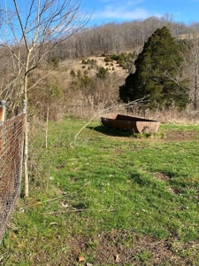 32 Acres Unrestricted Land in Sneedville, TN For Sale - image 3