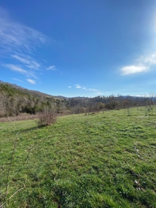32 Acres Unrestricted Land in Sneedville, TN For Sale - image 15