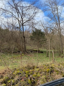 32 Acres Unrestricted Land in Sneedville, TN For Sale - image 8
