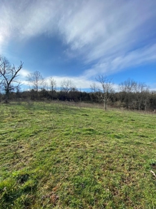 32 Acres Unrestricted Land in Sneedville, TN For Sale - image 21