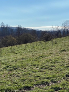 32 Acres Unrestricted Land in Sneedville, TN For Sale - image 6