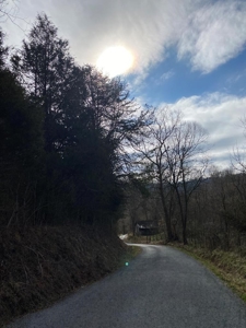 32 Acres Unrestricted Land in Sneedville, TN For Sale - image 13